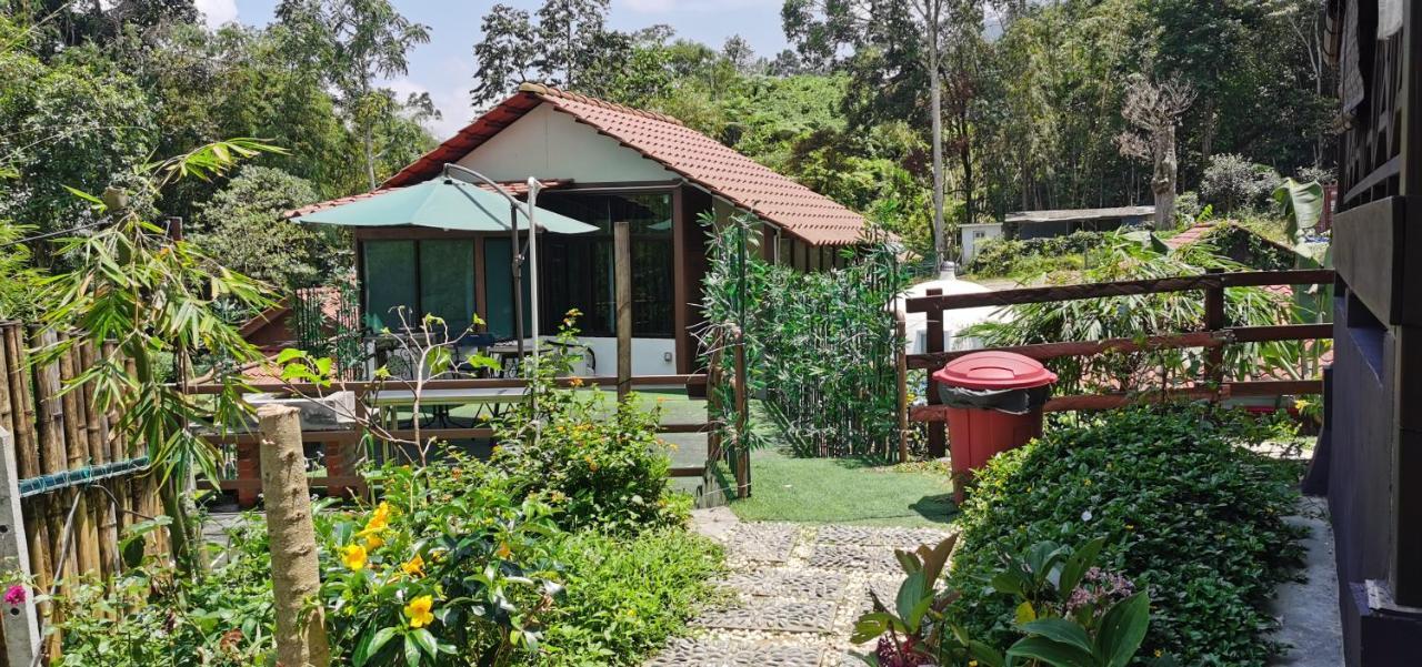 Genting Greenwoods Tiny Houses & Events Hall Гентинг Хайлендс Стая снимка